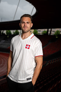 Schweizer Shirt Herren Fan Edelvetica