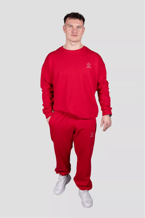 Trainingshose Jogger Edelvetica Herren